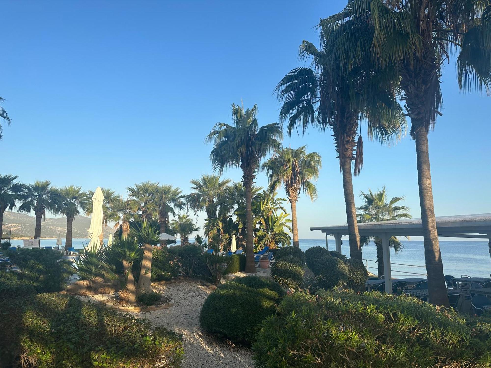 Souli Beach Hotel Polis Zewnętrze zdjęcie
